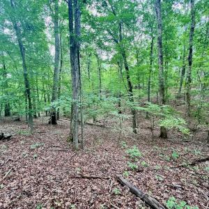 Photo #11 of SOLD property in Off Brookside Court, Axton, VA 10.0 acres
