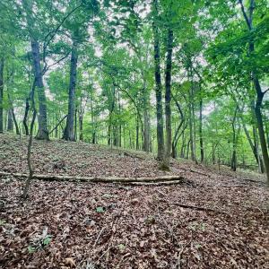 Photo #12 of SOLD property in Off Brookside Court, Axton, VA 10.0 acres