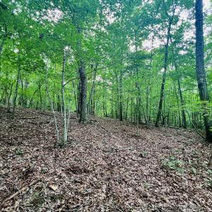 Photo #13 of SOLD property in Off Brookside Court, Axton, VA 10.0 acres