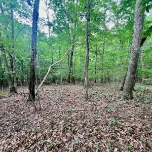 Photo #14 of SOLD property in Off Brookside Court, Axton, VA 10.0 acres