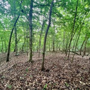 Photo #15 of SOLD property in Off Brookside Court, Axton, VA 10.0 acres