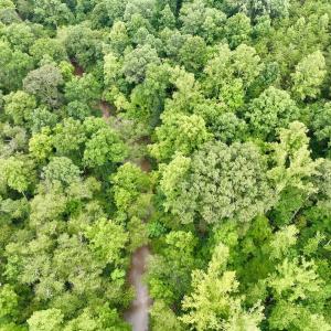 Photo #32 of SOLD property in Off Brookside Court, Axton, VA 10.0 acres