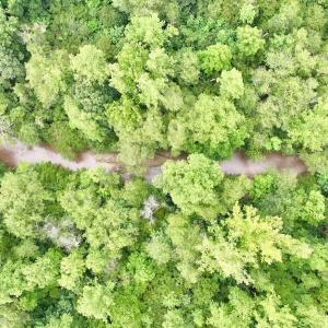 Photo #38 of SOLD property in Off Brookside Court, Axton, VA 10.0 acres