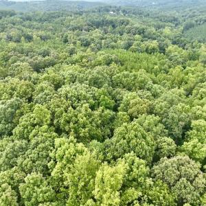Photo #39 of SOLD property in Off Brookside Court, Axton, VA 10.0 acres