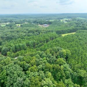 Photo #40 of SOLD property in Off Brookside Court, Axton, VA 10.0 acres