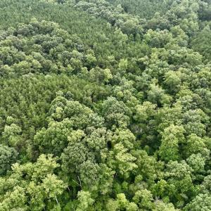 Photo #36 of SOLD property in Off Brookside Court, Axton, VA 10.0 acres