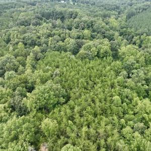Photo #41 of SOLD property in Off Brookside Court, Axton, VA 10.0 acres