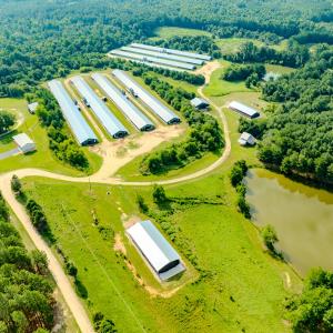 Photo #3 of 687 Brock Rd., Linden, NC 71.1 acres