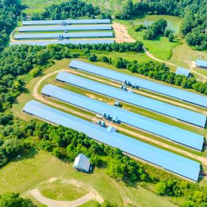 Photo #5 of 687 Brock Rd., Linden, NC 71.1 acres