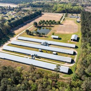 Photo #23 of 687 Brock Rd., Linden, NC 71.1 acres