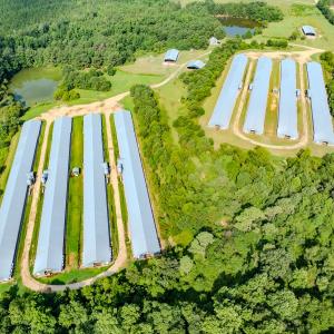 Photo #24 of 687 Brock Rd., Linden, NC 71.1 acres
