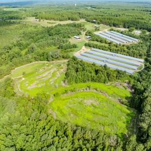 Photo #25 of 687 Brock Rd., Linden, NC 71.1 acres