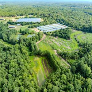 Photo #27 of 687 Brock Rd., Linden, NC 71.1 acres