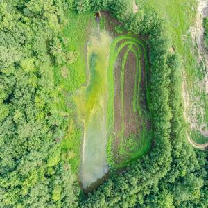 Photo #28 of 687 Brock Rd., Linden, NC 71.1 acres