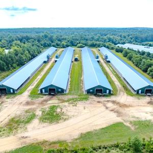 Photo #30 of 687 Brock Rd., Linden, NC 71.1 acres