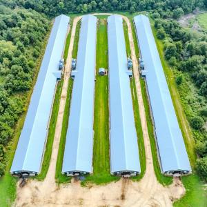 Photo #31 of 687 Brock Rd., Linden, NC 71.1 acres