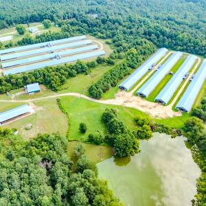 Photo #32 of 687 Brock Rd., Linden, NC 71.1 acres