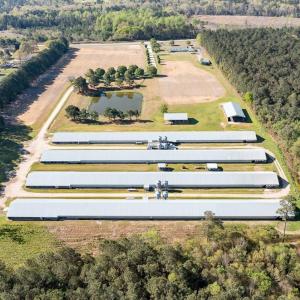 Photo #6 of 687 Brock Rd., Linden, NC 71.1 acres