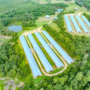 Photo #8 of 687 Brock Rd., Linden, NC 71.1 acres