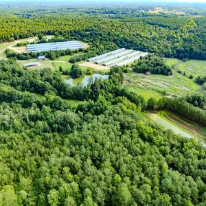 Photo #9 of 687 Brock Rd., Linden, NC 71.1 acres