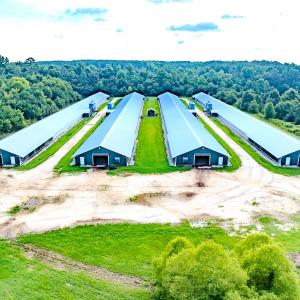 Photo #10 of 687 Brock Rd., Linden, NC 71.1 acres