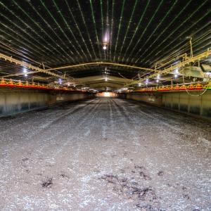 Photo #12 of 687 Brock Rd., Linden, NC 71.1 acres