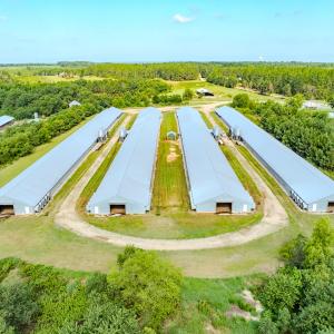 Photo #43 of 687 Brock Rd., Linden, NC 71.1 acres