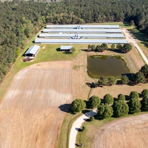 Photo #53 of 687 Brock Rd., Linden, NC 71.1 acres