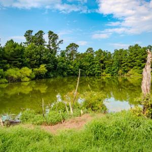Photo #84 of 687 Brock Rd., Linden, NC 71.1 acres