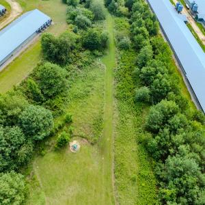 Photo #85 of 687 Brock Rd., Linden, NC 71.1 acres
