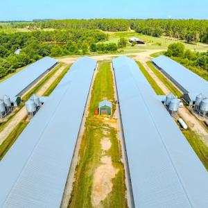 Photo #86 of 687 Brock Rd., Linden, NC 71.1 acres