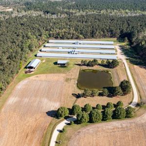 Photo #87 of 687 Brock Rd., Linden, NC 71.1 acres