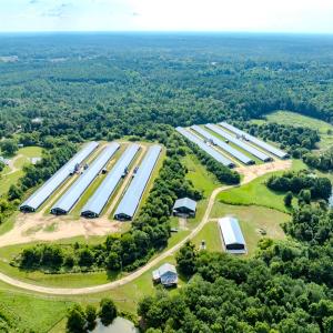 Photo #88 of 687 Brock Rd., Linden, NC 71.1 acres