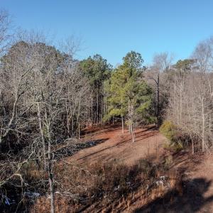 Photo #3 of 4068 Midway Road, Maxton, NC 115.3 acres