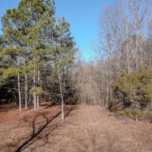 Photo #12 of 4068 Midway Road, Maxton, NC 115.3 acres