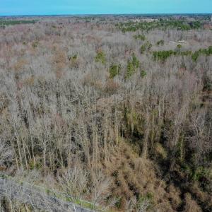 Photo #13 of 4068 Midway Road, Maxton, NC 115.3 acres