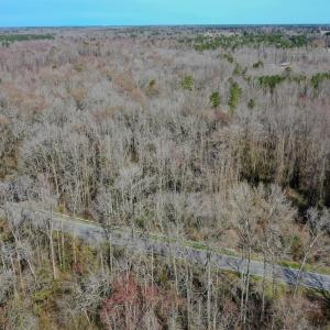 Photo #14 of 4068 Midway Road, Maxton, NC 115.3 acres