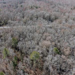Photo #15 of 4068 Midway Road, Maxton, NC 115.3 acres