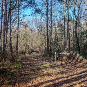 Photo #17 of 4068 Midway Road, Maxton, NC 115.3 acres