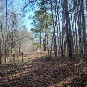 Photo #19 of 4068 Midway Road, Maxton, NC 115.3 acres