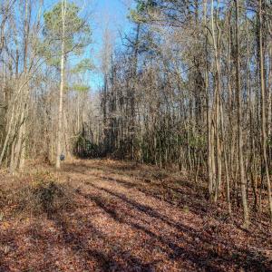 Photo #21 of 4068 Midway Road, Maxton, NC 115.3 acres