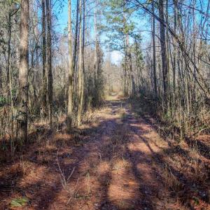 Photo #23 of 4068 Midway Road, Maxton, NC 115.3 acres