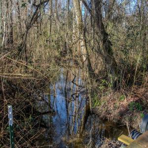 Photo #26 of 4068 Midway Road, Maxton, NC 115.3 acres