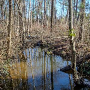 Photo #27 of 4068 Midway Road, Maxton, NC 115.3 acres