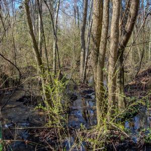 Photo #28 of 4068 Midway Road, Maxton, NC 115.3 acres