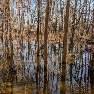 Photo #29 of 4068 Midway Road, Maxton, NC 115.3 acres