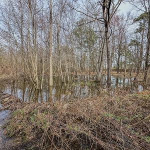 Photo #30 of 4068 Midway Road, Maxton, NC 115.3 acres