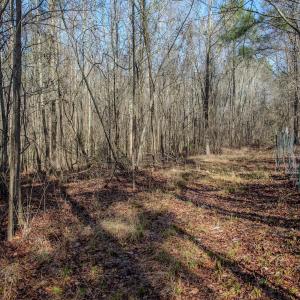 Photo #36 of 4068 Midway Road, Maxton, NC 115.3 acres