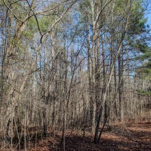 Photo #40 of 4068 Midway Road, Maxton, NC 115.3 acres