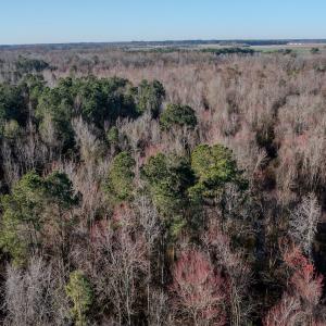 Photo #7 of 4068 Midway Road, Maxton, NC 115.3 acres